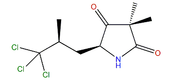 5-Epidysidamide G